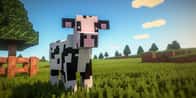 Minecraft cow name generator | Get the perfect cow name!