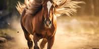 Ló névgenerátor | Találd meg lovad új nevét!