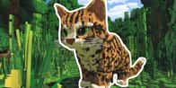 Minecraft Cat Ocelot Name Generator | Find a cat ocelot name