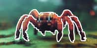 Minecraft Spider Name Generator | What's your spider name?