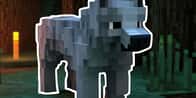 Minecraft Wolf Name Generator | What's your wolf name?