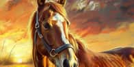 Navnegenerator for kjæledyrhester | Hva er navnet på hesten din?