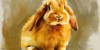 Generatore di Nomi per Conigli Domestici | Qual è il nome del tuo coniglio?