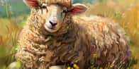 Generatore di Nomi per Pecore da Compagnia | Qual è il nome della tua pecora?