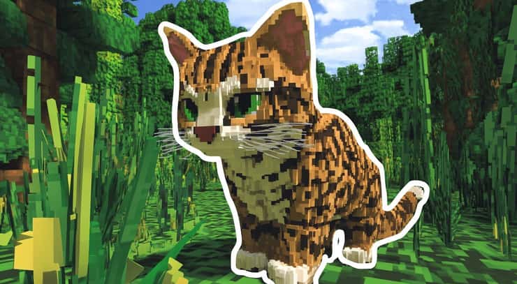 Minecraft Cat Ocelot Name Generator | Find a cat ocelot name