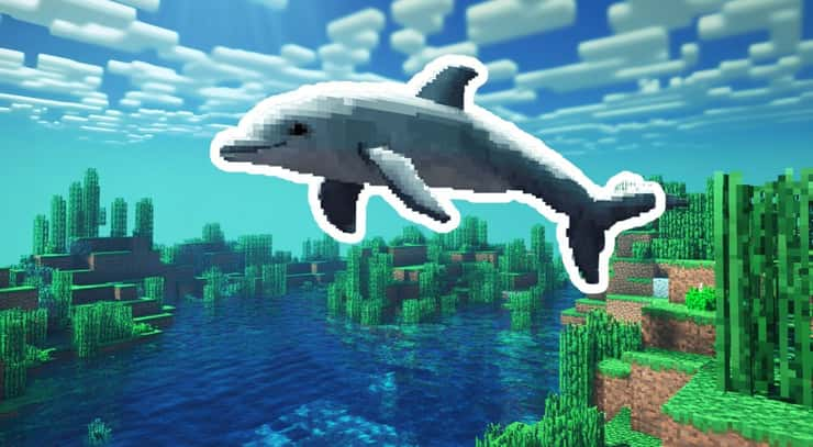 Minecraft Dolphin Name Generator | What's your dolphin name for Minecraft?